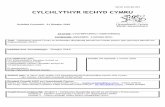 CYLCHLYTHYR IECHYD CYMRU - gov.wales · Welsh Health Circular on revised pressure ulcer reporting including the reporting of serious incidents December 2018 Pressure ulcers are the