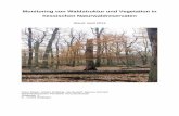 Monitoring von Waldstruktur und Vegetation in hessischen ... · MPKT_D2 Messpunkt Durchmesser 2 ID Identifikationsnummer Navi-Plot Navigationsplot . 1 1 Einführung Das langfristig