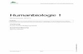 Humanbiologie 1 - health.meister.ithealth.meister.it/wp-content/uploads/2014/08/Humanbiologie-1.pdf · Anatomie und Physiologie des Nervensystems Funktionelle Einheit des NS = Nervenzelle
