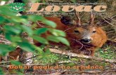 Lovac 82.pdf · pošumljavanje staništa divljači, uzgajanje, prehranjivanje i oplemenjivanje određene vrste divljači kroz selekciju i uzgojni odstrjel nerazvijenih, bolesnih i