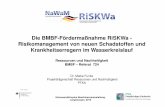 Die BMBF-Fördermaßnahme RiSKWa - Risikomanagement von ... · Die BMBF-Fördermaßnahme RiSKWa - Risikomanagement von neuen Schadstoffen und Krankheitserregern im Wasserkreislauf