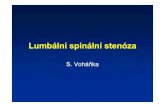 LSS pro web - fnbrno.cz¡lní kurs Vertebrologie Lumbální... · Vymezení pojmu LSS •Označení morfologických změn • Zúžení páteřního nebo kořenového kanálu osteoligamentózního