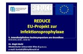 REDUCE!! EU’Projekt!zur! Infekonsprophylaxe!. Birgit Koechl_REDUCE_EU-Projekt zur... · Hintergrund!! ⇒!Globales!Ziel!der!Studie!!!!!Redukon!! von!Risikoverhaltensweisen!bei!Frauen!mit!illegalen!