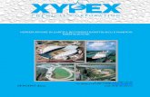 XYPEX · kako xypex varuje armaturo betonske konstrukcije? Agresivno delovanje klorida, žvepla, žveplovega vodika, ogljikovega kisika in drugih kemičnih snovi na beton je pogojeno