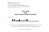 PLAN DE REORGANIZARE - sierraquadrant.ro reorganizare.pdf · deschidere a procedurii insolventei intentia manifestata de a-si reorganiza activitatea pe baza unui plan de reorganizare.