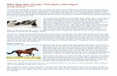 Năm Ngọ bàn chuyện Thịt Ngựa, Sữa Ng ahuongduongtxd.com/thitsuangua.pdf · nhưng thành phần acid amin trong chất đạm của thịt ngựa cân bằng hơn, có