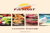 FASDAT · 3 FASDAT 1995 yılında EDT kanalında faaliyet gösteren işletmelere çözüm ortağı olmak üzere kurulmuştur.