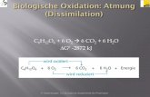C6H12O6 + 6 O2 6 CO2 + 6 H2O DG0 -2872 kJ - zool33.uni-graz.atzool33.uni-graz.at/lernen/courses/636028/document/01_Folien/Pharmazie15.pdf · 10 Einzelschritte Aus Glucose (6C) entstehen