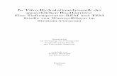 In Vitro-Hydratationsdynamik der menschlichen Hautbarriere ... · The ﬁrst chapter provides general theoretical background, for example the formation of the Stratum Corneum and