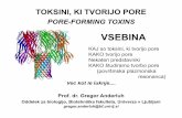 PORE-FORMING TOXINSFORMING TOXINS - bio.ijs.sibio.ijs.si/~krizaj/group/Predavanja 2010/Toksini, ki delujejo na membranah in na... · TOKSINI, KI TVORIJO PORE PORE-FORMING TOXINSFORMING