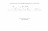Targeting ClpXP protease - Interfering with mitochondrial ... · Cancers arising from the hematopoietic system include lymphoma, myeloma, and various types of leukemia which are ranked
