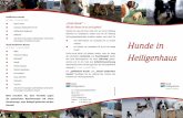 Hunde in Heiligenhaus · Dogo Argentino Rottweiler Tosa Inu und deren Kreuzungen untereinander sowie deren Kreuzungen mit anderen Hunden. Bitte beachten Sie, dass Verstöße gegen