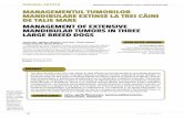 MANAGEMENTUL TUMORILOR MANDIBULARE EXTINSE LA TREI … · Vol I - Nr. 1 (12016) 13. Romanian Journal of Veterinary Medicine & Pharmacology. Ciprian Ober, Madalina Dragomir, Liviu