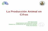 La Producción Animal en Cifras - ucv.ve · La Producción Animal en Cifras UCV-Agronomía Departamento de Producción Animal Cátedra de Fundamentos de Producción Animal I Profa.