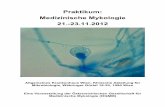 Praktikum: Medizinische Mykologie 21.-23.11 - oegdv.at · Die Österreichische Gesellschaft für Medizinische Mykologie veranstaltet ein mehrtägiges Praktikum, in dem Grundkenntnisse