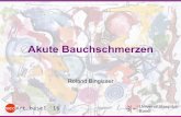 Akute Bauchschmerzen - Universitätsspital Basel · medArt basel `16 Bauchschmerz Standardisierte Untersuchung Eindeutig aku Akut auf chronisch Eindeutig chronisch Bestätigung