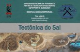 Universidade Federal de Pernambuco Centro de Tecnologia e ... · Diapir squeezing Animations made by H. Fossen as a resource to Fossen 2016, Structural Geology, Cambridge Univ. Press.