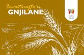 Investirajte u GNJILANE - kiesa.rks-gov.net · Vizija i strateški plan za promociju poljoprivrede Centri za obuku i informisanje. 8 Opštinska administracija Lokalna samouprava u