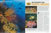  · REISE/Costa Brava/Spanien Die Ritte der nörd- lichen Costa Brava von buntan Koraller 1M NORDEN DER COSTA BRAVA So richtig wild und ursprü_nglich ist