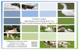 Презентация PowerPoint - investinbelarus.by · Беларусь занимает 9-е место в мире по экспорту мяса крупно-рогатого