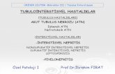 No Slide Title - cdn.istanbul.edu.trcdn.istanbul.edu.tr/FileHandler2.ashx?f=uriner-sistem-3.pdf · tubuloİnterstİsyel hastaliklar (tubulus hastaliklari) akut tubulus nekrozu (atn)