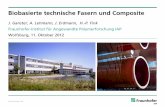 Biobasierte technische Fasern und Composite · © Fraunhofer Biopolymere Dr. Waltraud Vorwerg Biopolymere (Cellulose, Stärke, Lignin) Biobasierte Kunststoffe (PLA, PHA, PA) Synthese-