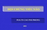 HỘI CHỨNG TIỂU NÃO - thuchanhthankinh.comthuchanhthankinh.com/userupload-thuchanhthankinh/files/hoi chung tieu... · Mục tiêu •Hiểu đượccác phân loạitiểunão