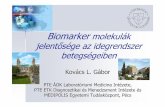 Biomarker molekulák jelentısége az idegrendszer betegségeiben · Biomarkermolekulák jelentısége az idegrendszer betegségeiben Kov ács L. G ábor PTE ÁOK Laboratóriumi Medicina