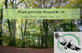 Park prirode Kopački rit - os-mladost-os.skole.hros-mladost-os.skole.hr/.../images/newsimg/702/...3_a_Kopacki_rit_(IUN).pdf · Naš jednodnevni izlet •Dana 20.11.2014. išli smo