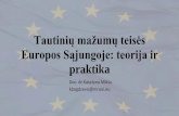Tautinių mažumų teisės Europos Sąjungoje: teorija irlt.efhr.eu/download/Tautiniu-mazumu-teises-Europos-Sajungoje-teorija... · Planas 1. Įžanga. Sutarčių nuostatai 2. Europos