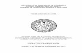 UNIVERSIDAD DE SAN CARLOS DE GUATEMALA CENTRO ...17) TCPA 013.pdf · universidad de san carlos de guatemala centro universitario del norte carrera de contadurÍa pÚblica y auditorÍa