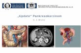 „Update“ Pankreaskarzinom - kchi.ovgu.de · - Hepatikojejunostomie - Gastrojejunostomie (PPD) bzw. Duodenojejunostomie (PPPD) wenn R0-Situation . dadurch erreichbar . OP nach