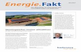 Energie.Fakt - Newsletter für Kommunen und Geschäftskunden ... · großen Zulauf: Zum Beispiel die Firma Kriko aus Merzhausen sowie die Theresienklinik in Bad Krozingen haben sich