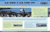 LA ONU Y LA COP 20 - keneamazon.net · Protegidas (AMP). En Perú son la Isla Lobos de Tierra, Islas Ballestas y la Punta San Juan de Marcona. En Chile son el Bajo O’Higgins y Ar-chipiélago