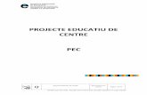 PROJECTE EDUCATIU DE CENTRE PEC - inslaguineueta.cat · Q Projecte Educatiu de Centre Aprovat Consell escolar 22 març 2018: Pàgina 2 de 34 Distribució via web. Aquest document