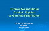 Türkiye-Avrupa Birliği Ortaklık İlişkileri ve Gümrük ... BIRLIGI.pdf · Avrupa Birliği ile İlişkiler ve Gümrük Birliği Süreci 9Türkiye ile AB ilişkisinin iki boyutu
