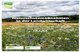 PowerPoint-PräsentationŸnahmenbuch_F.R.A.N... · OTTO Gemeinsam für mehr Vielfalt in der Agrarlandschaft Deutscher Bauernverband DBV . THUNEN GEORG-AUGUST-I_JNIVERSI AT GÖTTINGEN