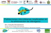 Poblaciones microbianas implicadas en la eliminación de ...triton-cyted.com/wp-content/uploads/2017/04/Microbiologia.pdf · ‣ Se puede cuantificar (ejemplo Coliformes en agua)