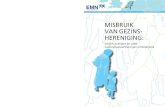MISBRUIK VAN GEZINS- HERENIGING - ec.europa.eu · Hoofdstuk 2 van deze questionnaire behandelt het nationale raamwerk van deﬁ nities en regelgeving voor gezinsmigratie en het bestrijden