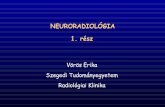 NEURORADIOLÓGIA 1. rész - klinikaikozpont.u-szeged.hu · Chiari malformatio + CC agenesia + meningocele + blockcsigolya Uh, MR, CT, hagyományos röntgen, DSA FEJLŐDÉSI RENDELLENESSÉGEK