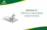 Módulo 2. Valores y principios cooperativos. · auxiliares del cooperativismo y las precooperativas, constituyen el sector cooperativo. Valores y principios cooperativos Cooperativas