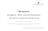 RH. E Schistal. Infotag 2015. 20151118 neueste V ... · RHD-und RHCE-Gene, die RhD-und RhCE-Proteine RHD negativ RHD positiv (heterozygot) RHD positiv (homozygot) Die homologen RHCE-und