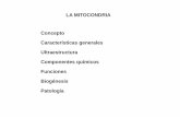 LA MITOCONDRIA Concepto Características generales ...sb1aaab66bf7bfbb5.jimcontent.com/download/version/1411400372/module/... · Componentes químicos Membrana interna Membrana externa