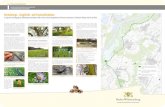 Vermeidungs-, Ausgleichs- und Ersatzmaßnahmen · Rheinhochwasserdammes XXV und des rechten Murg- dammes liegt innerhalb bzw. am Rand der Schutzgebiete des Netzes „Natura 2000“,