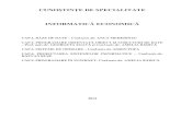 CUNOȘTINȚE DE SPECIALITATE INFORMATICĂ ECONOMICĂ - …feaa.ucv.ro/one/images/docs/2013-2014/Licenta/examene/material_special... · CAP.1. BAZE DE DATE 1.1. CONCEPTE ALE BAZELOR