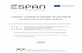 Catalytic cracking of vegetable oil and animal fat in ...espan.at/uploads/media/Final_Report_Catalytic_Cracking_with_Zeolite... · Catalytic cracking of vegetable oil and animal fat