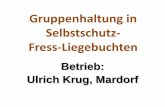 Gruppenhaltung in Selbstschutz- Fress-Liegebuchten+Betrieb+Ulrich+Krug.pdf · Betrieb Krug, Mardorf Geschlossenes System mit 100 Sauen DAN-Zucht-Sau x Duroc Eber 100 ha 2 AK 1992