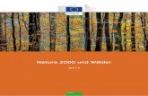 Natura 2000 und Wälder - ec.europa.eu€¦ · 2 Natura 2000 und der Wald vorliegende Dokument hoffentlich besser verständlich machen können, was Natura 2000 durch die Kooperation