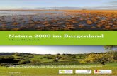 Natura 2000 im Burgenland - Startseite - Burgenlandfloraburgenlandflora.at/wp-content/uploads/Natura2000_iNet.pdf · 2. Die Natura-2000-Gebiete des Burgenlandes 2.1. Gebiete, die