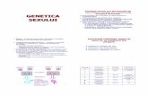 SEXULUI - bimogeum.ucoz.com · dezvoltarea timpurie a gonadelor şi rinichilor WT1 (11p13) Deleţia homozigotă a genei LIM1 duce la lipsa gonadelor şi a rinichilor Asigură dezvoltarea